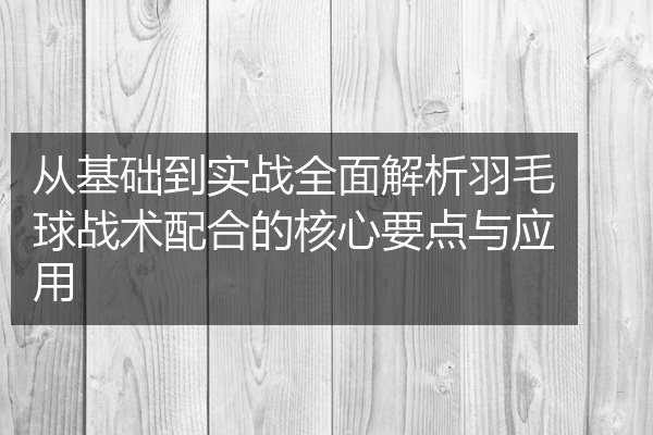 从基础到实战全面解析羽毛球战术配合的核心要点与应用