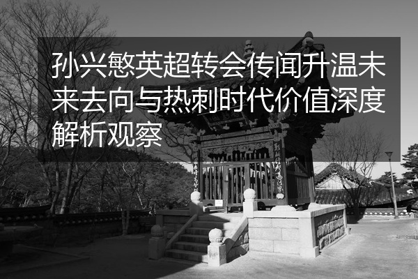 孙兴慜英超转会传闻升温未来去向与热刺时代价值深度解析观察